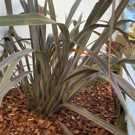 Σπίτι διακοπών Calme Et Tranquillite Rivedoux-Plage