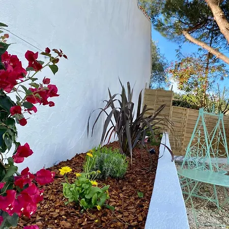 Calme Et Tranquillite * Rivedoux-Plage